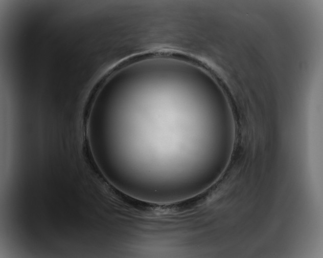 X0000088621271200705251234