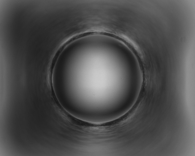 X0000088621272200705251234