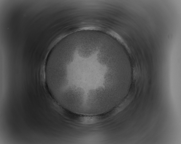 X0000088621274200705251234