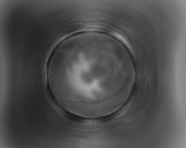 X0000088621275200705251234