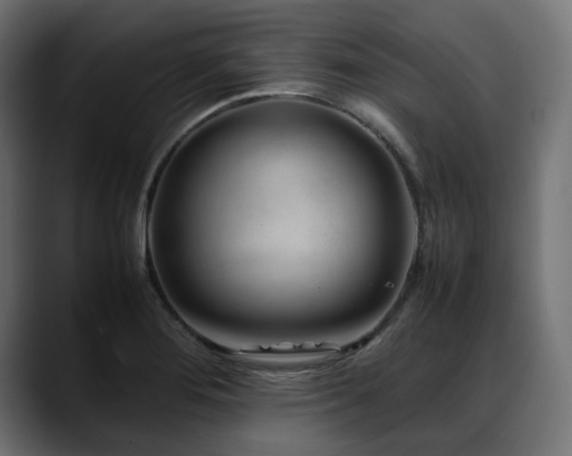 X0000088621276200705251234