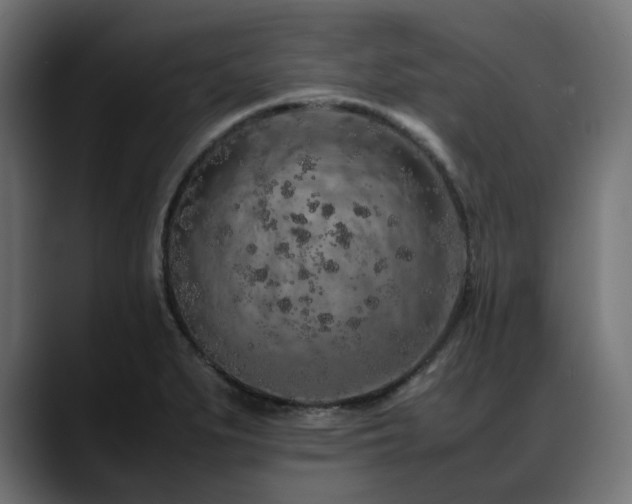 X0000088621279200705251234