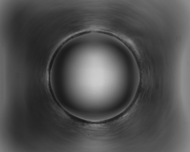 X0000088621280200705251234