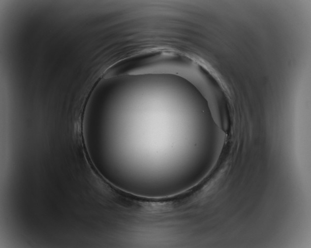 X0000088621281200705251234