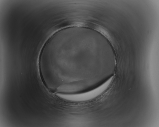 X0000088621283200705251233
