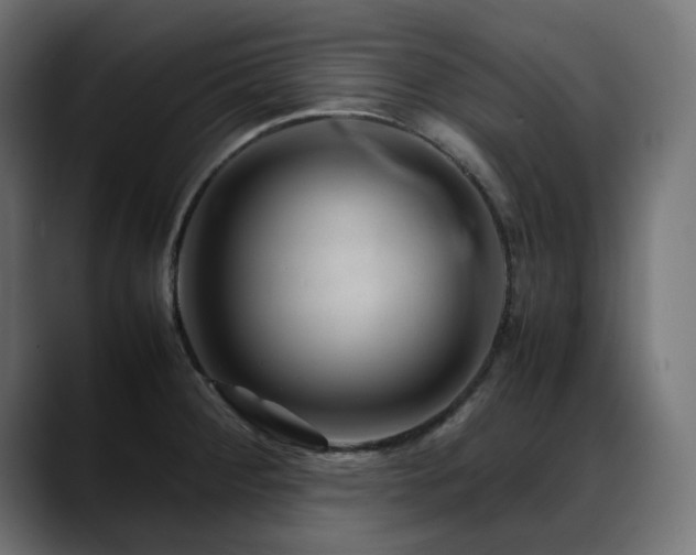 X0000088621284200705251233
