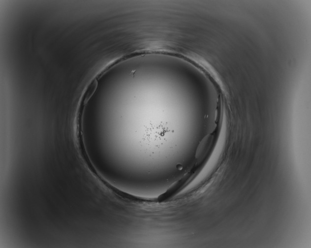 X0000088621285200705251233