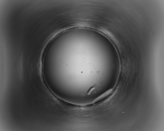 X0000088621286200705251233
