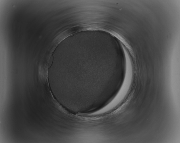 X0000088621289200705251233