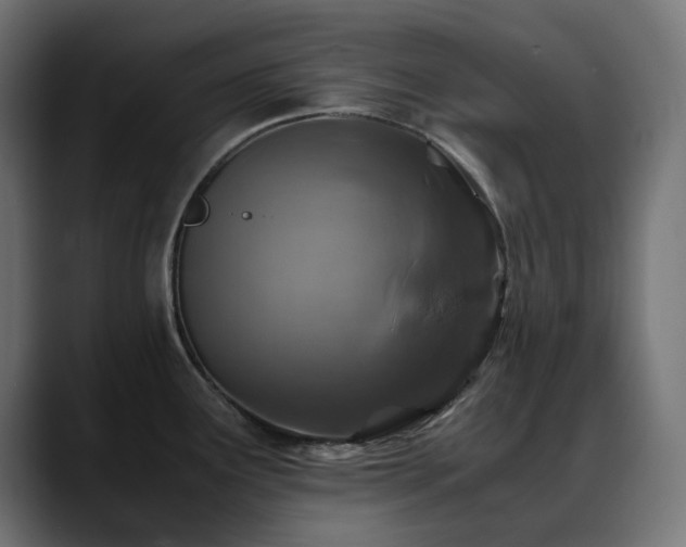 X0000088621291200705251233