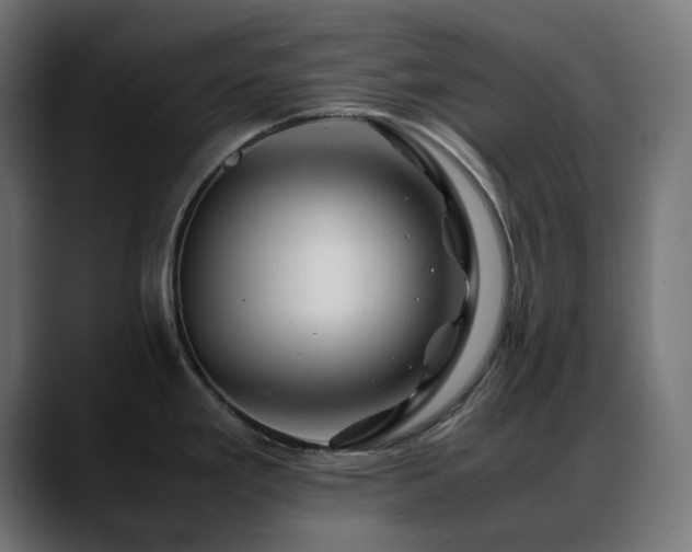 X0000088621293200705251233