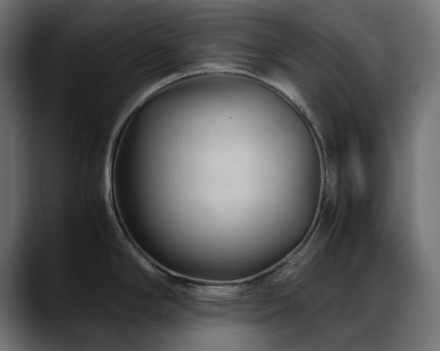 X0000088621294200705251233