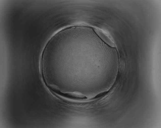 X0000088621295200705251233