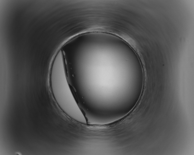 X0000088621296200705251233
