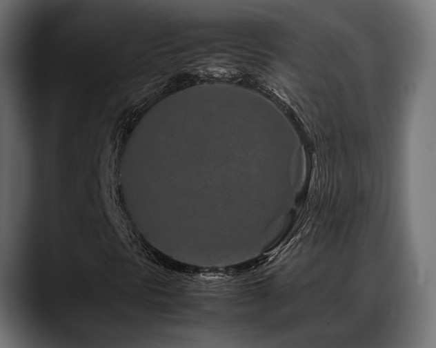 X0000088621297200705251233