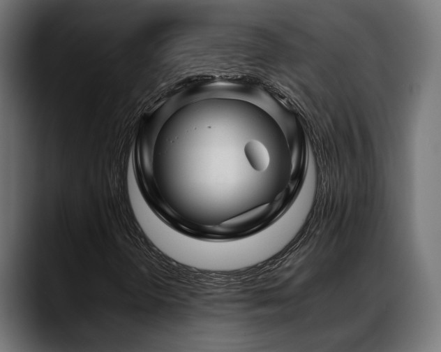 X0000088621298200705251233