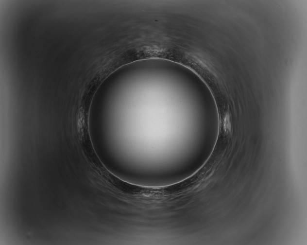 X0000088621299200705251233