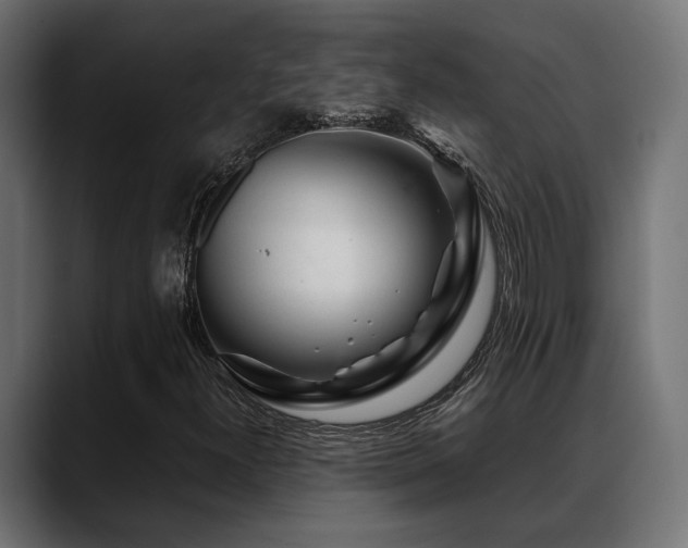 X0000088621300200705251233