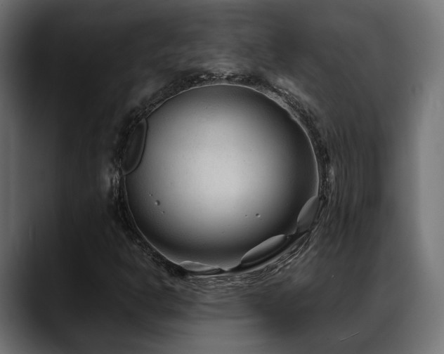 X0000088621302200705251233