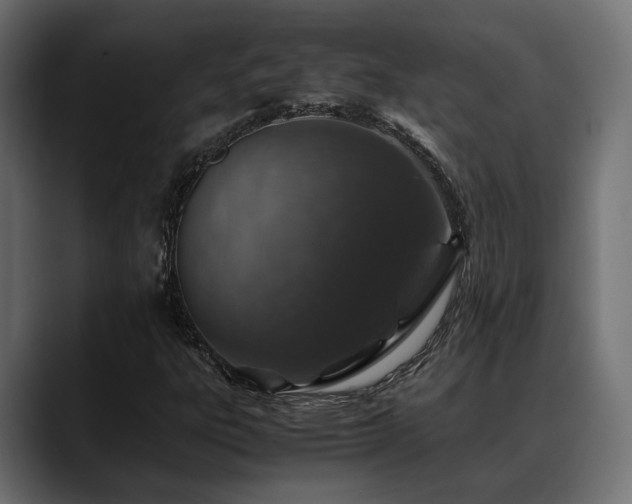 X0000088621303200705251233