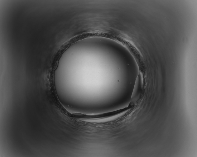 X0000088621304200705251233