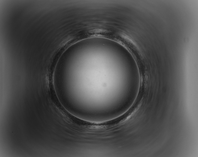 X0000088621305200705251233