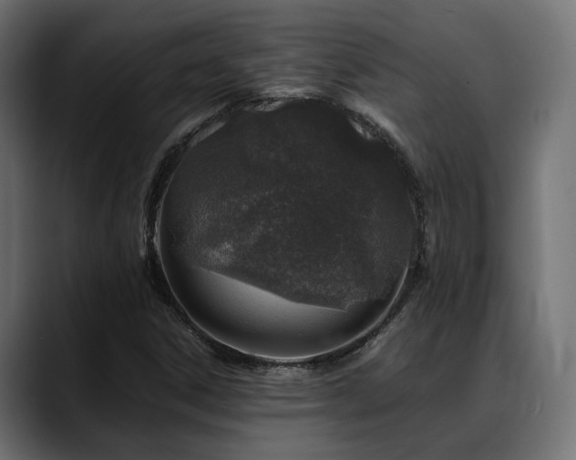 X0000088621306200705251233