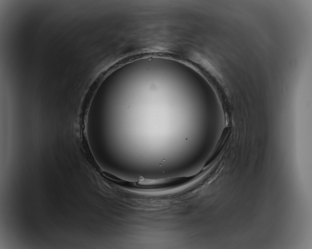 X0000088621308200705251233
