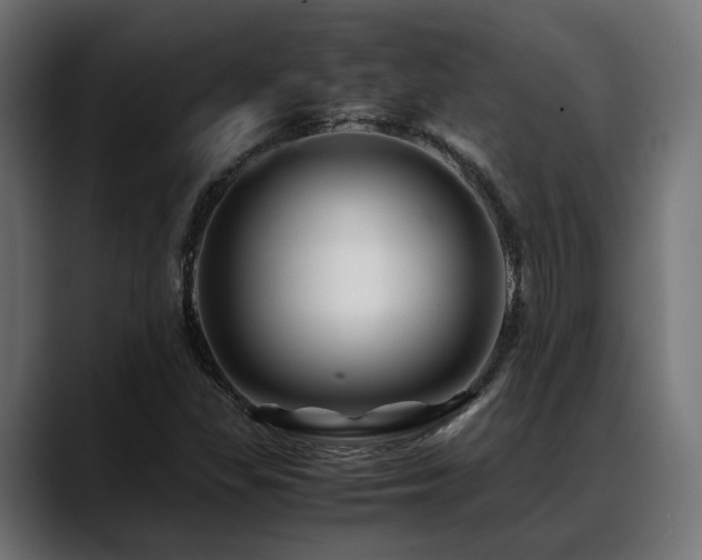 X0000088621309200705251233