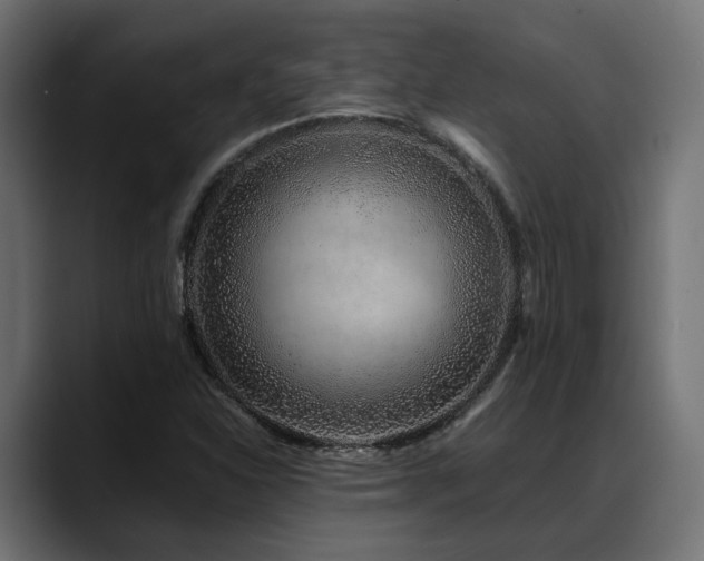 X0000088621310200705251233