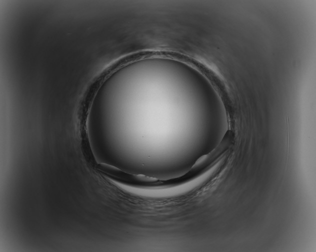 X0000088621311200705251233