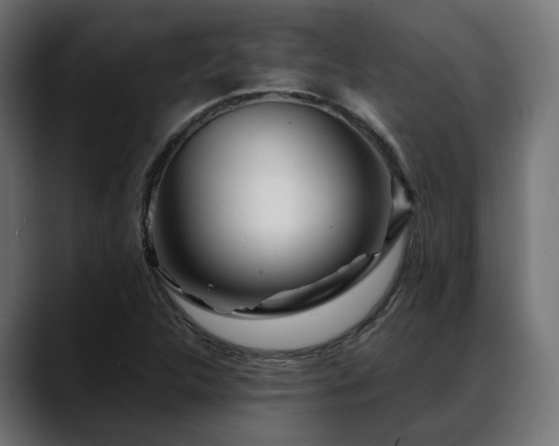 X0000088621312200705251233
