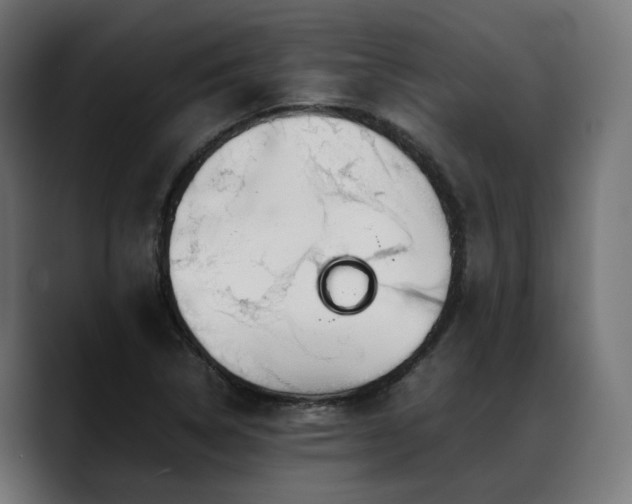 X0000088621314200705251233