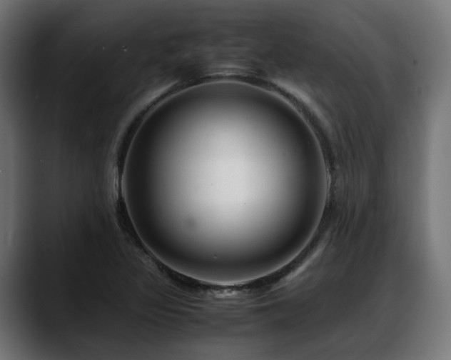 X0000088621317200705251233