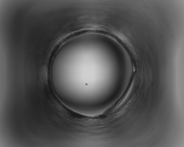 X0000088621318200705251233
