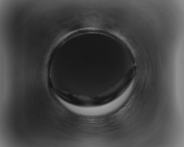X0000088621319200705251233