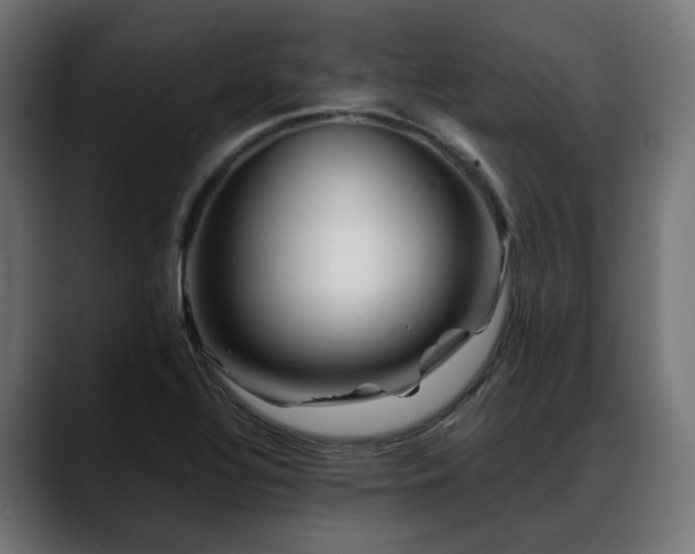 X0000088621320200705251233
