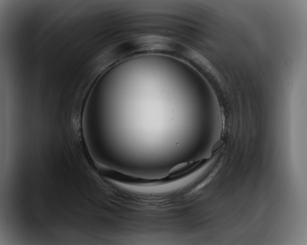 X0000088621321200705251233