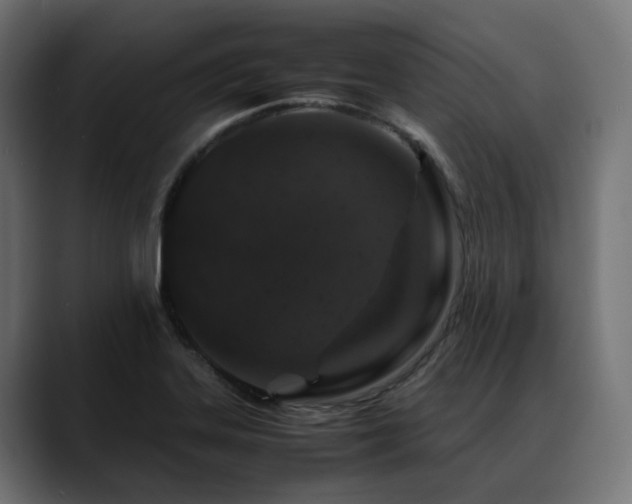 X0000088621323200705251233