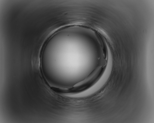 X0000088621324200705251233