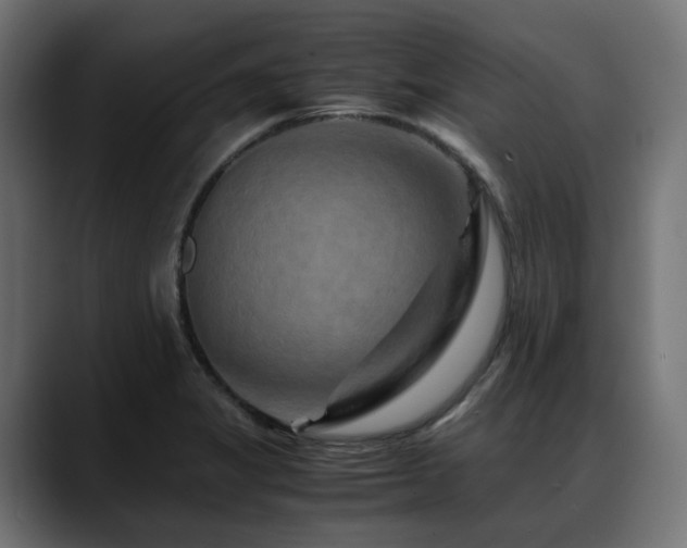 X0000088621325200705251233