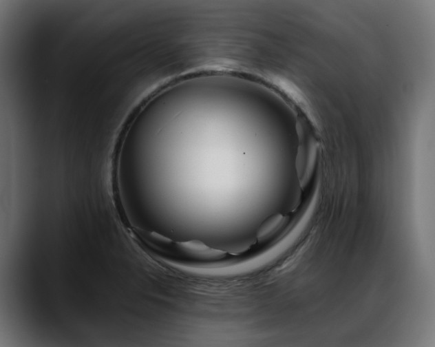 X0000088621326200705251233