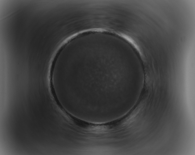 X0000088621327200705251233
