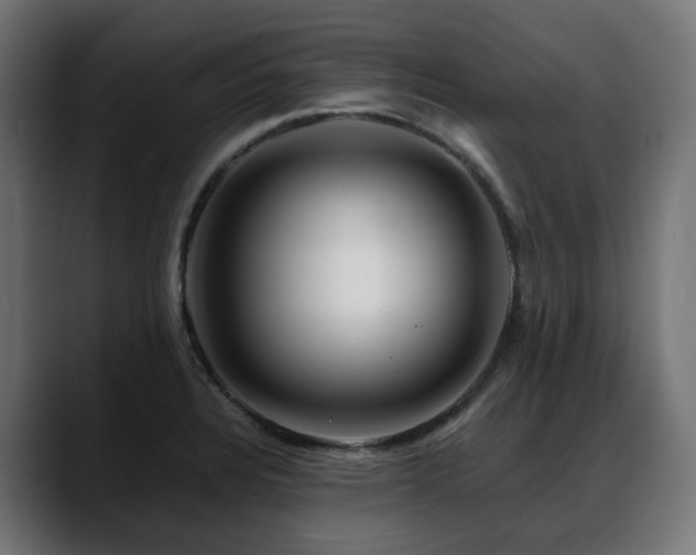 X0000088621328200705251233