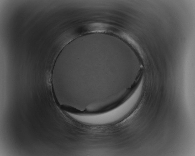 X0000088621329200705251233