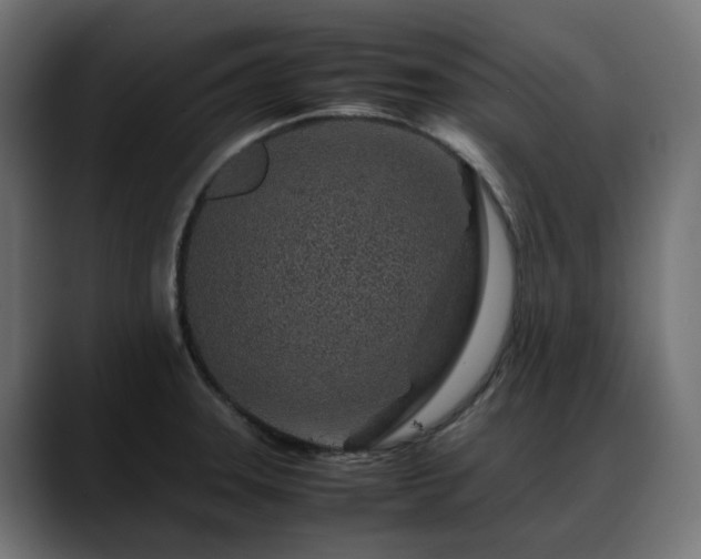 X0000088621331200705251233