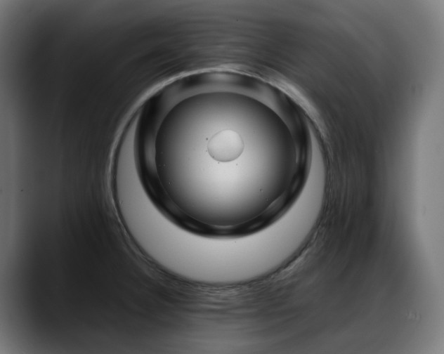 X0000088621332200705251233