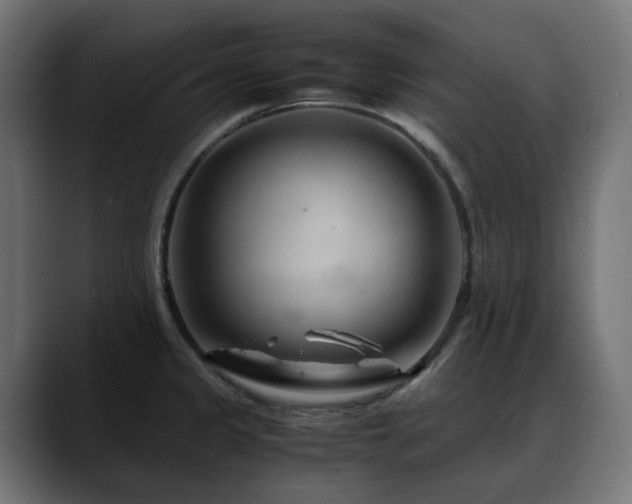 X0000088621333200705251233