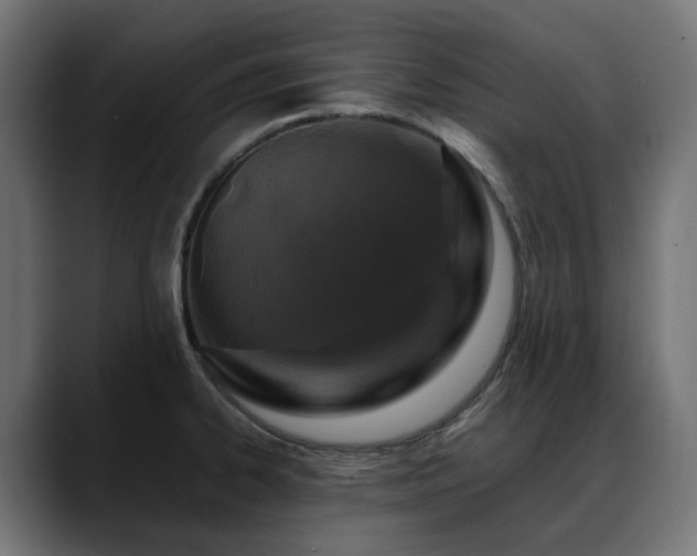 X0000088621334200705251233
