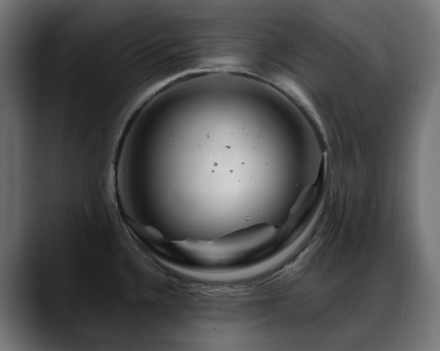 X0000088621336200705251233